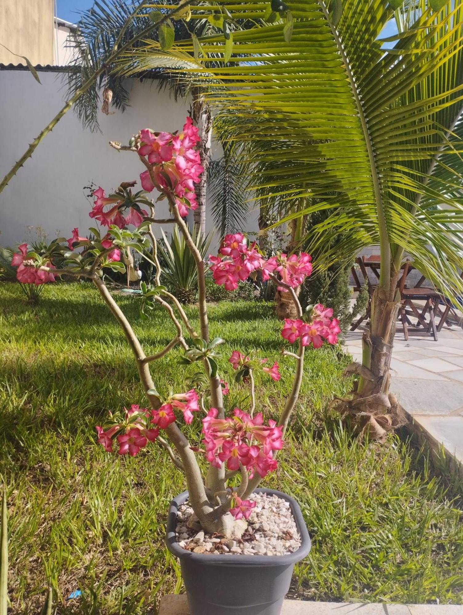 Casa Pirineus Villa Pirenopolis Ngoại thất bức ảnh